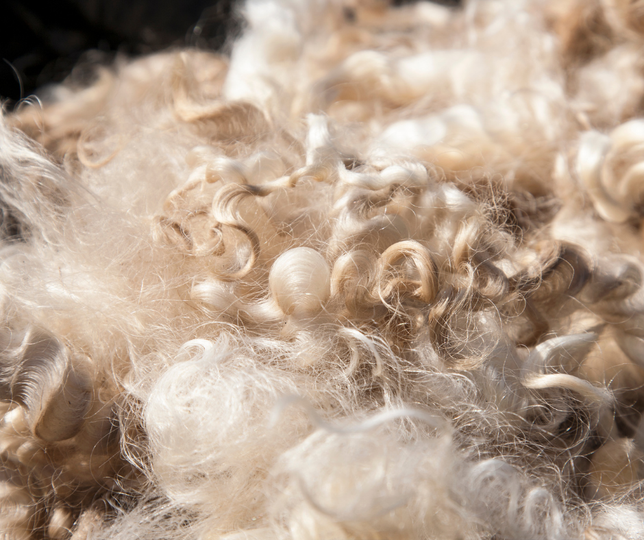 Introduce Wool into your life: 3 Reasons