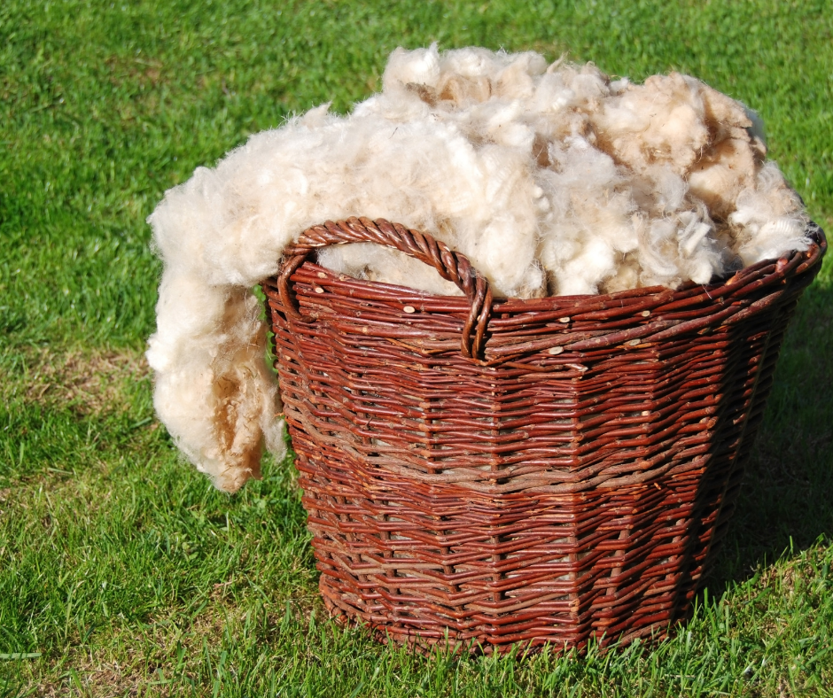 Wool - How is it made?