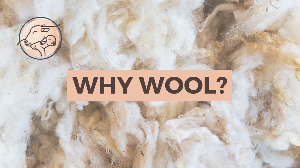 Why Wool? || The Interview