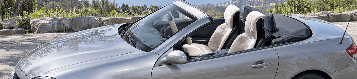 Auto & Sports