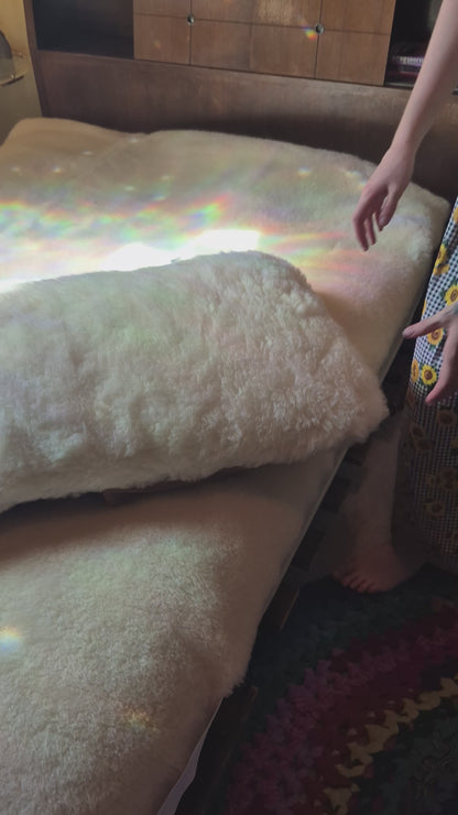 Sheep Wool Pet Beds