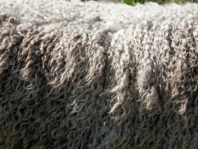 Naturally Breathable